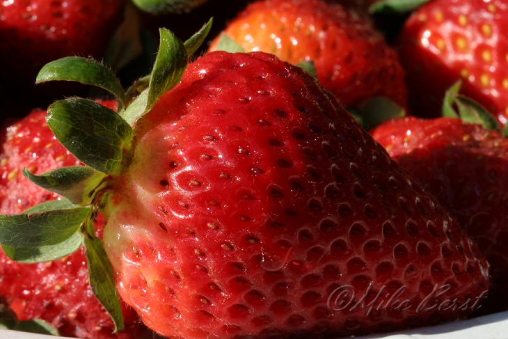  strawberries 