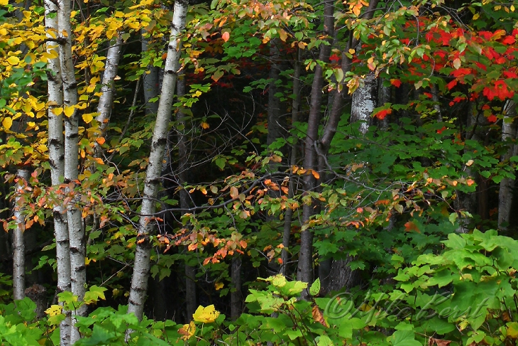  Keweenaw Peninsula 