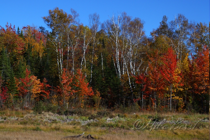  Keweenaw Peninsula 