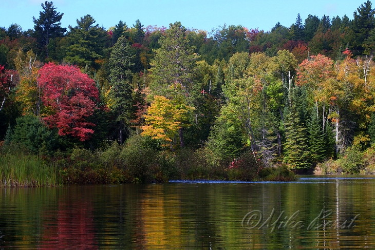  Tahquamenon River 
