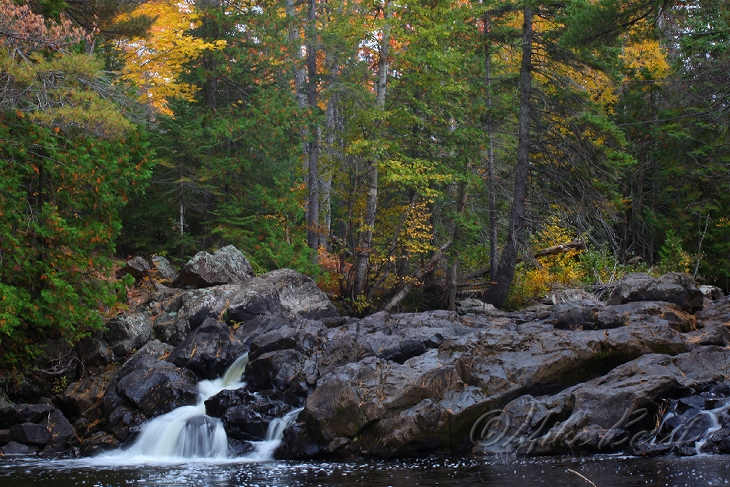  Silver Creek 