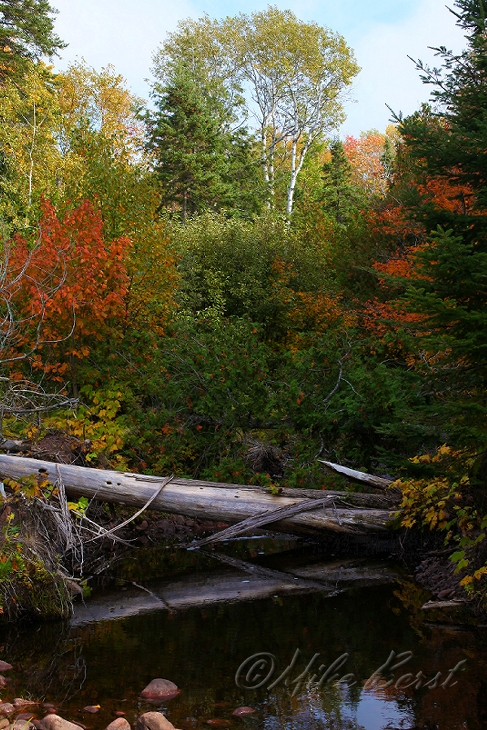  Schlitz Creek 
