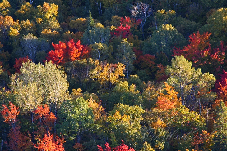  Brockway Mountain 