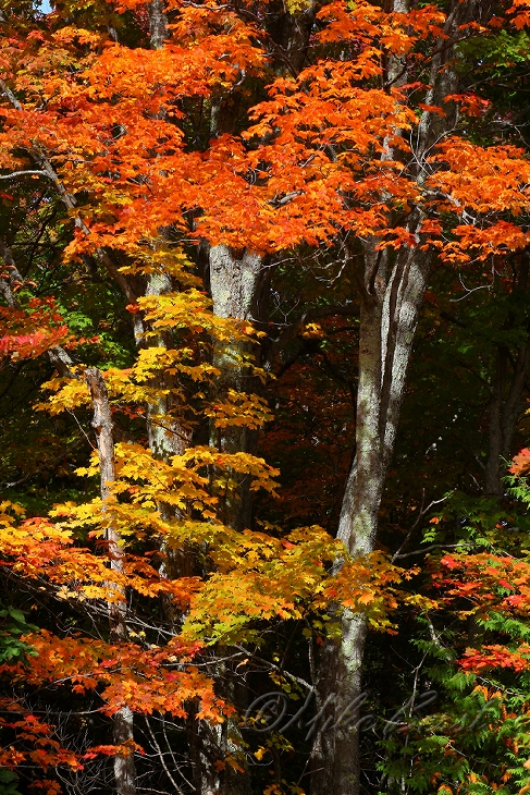  Keweenaw Peninsula 