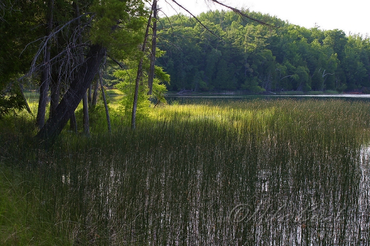  Otter Lake 