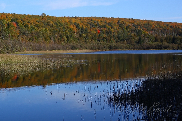  Miner's Lake 