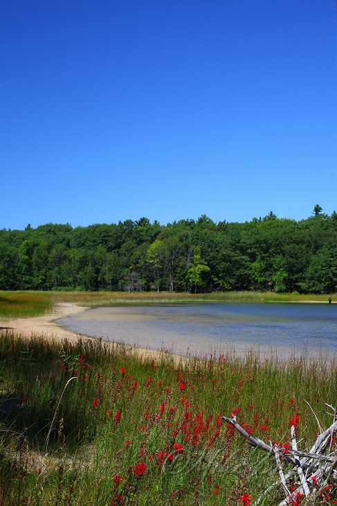  Miner's Lake 