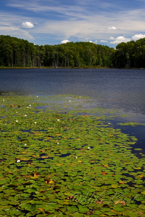  Gerry Lake 