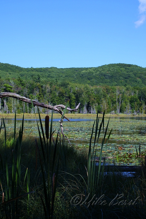  Tucker Lake 