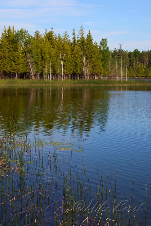  Bass Lake 