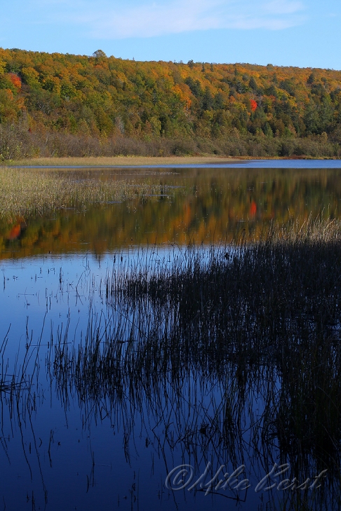  Miner's Lake 