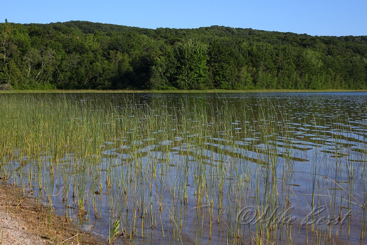  School Lake 