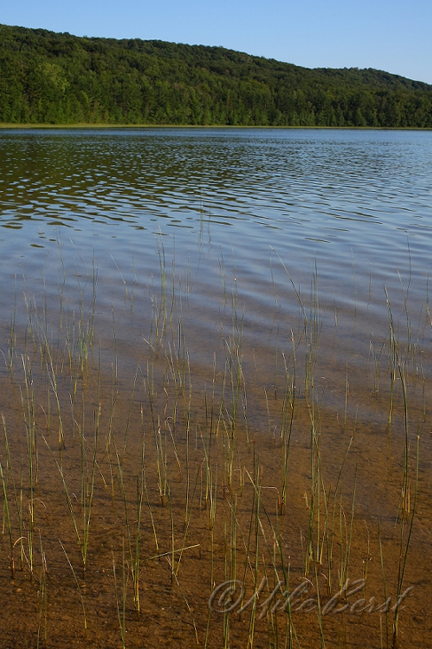 School Lake 