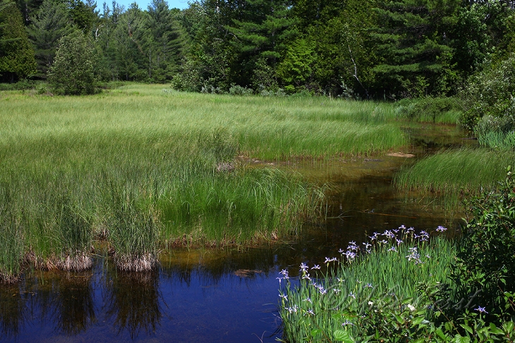  Crystal River 