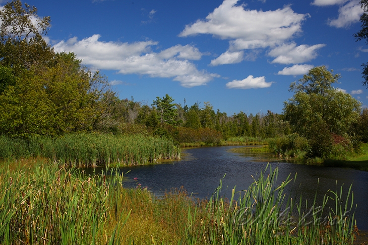  Victoria Creek 