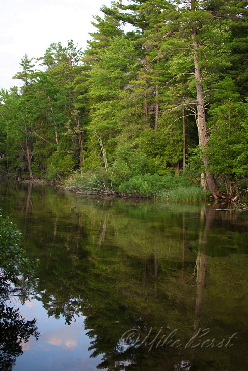 Crystal River 