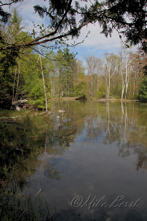  Crystal River 