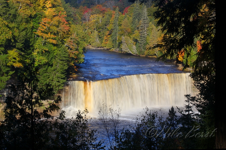  Victoria Creek 