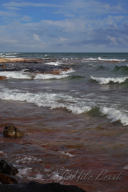  Hermit Bay 