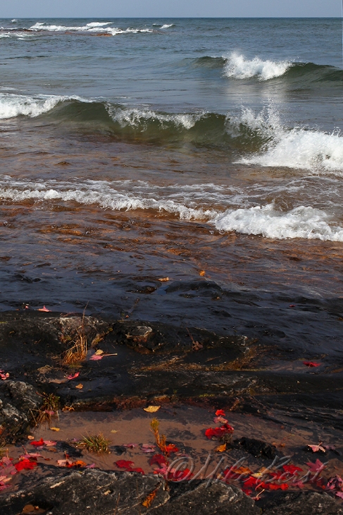  Hermit Bay 