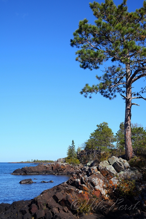  Hunter's Point 