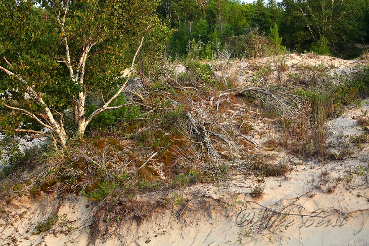  Leelanau State Park 