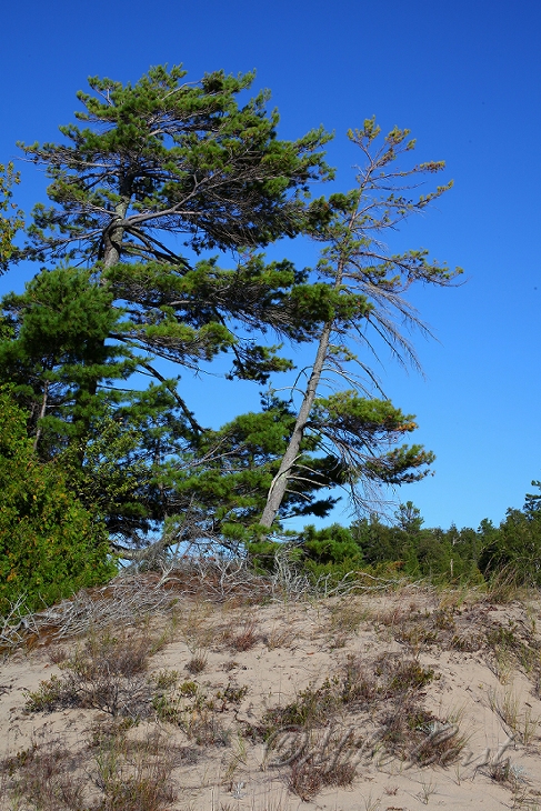  Leelanau State Park 