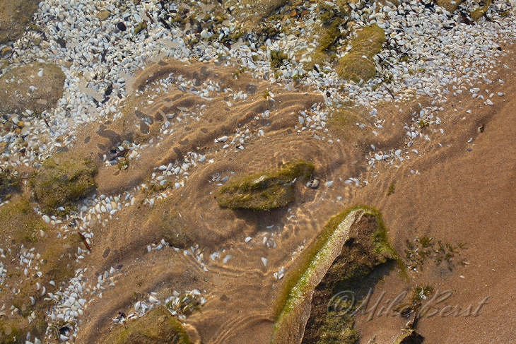  Big Stone Bay 