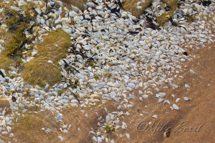  Big Stone Bay 
