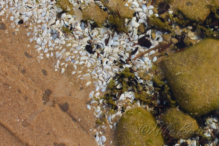  Big Stone Bay 