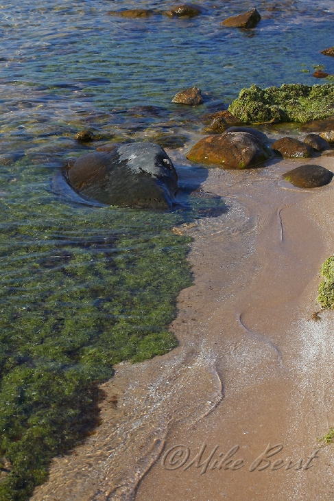  Big Stone Bay 