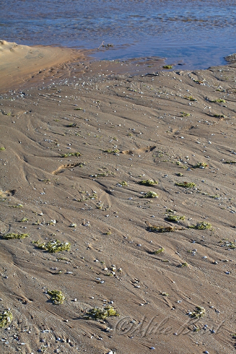 Platte Bay 