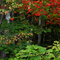  Keweenaw Peninsula 