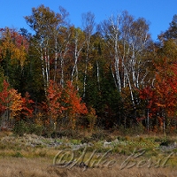  Keweenaw Peninsula 