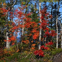 Keweenaw Peninsula 