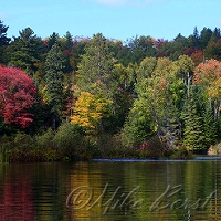 Tahquamenon River 