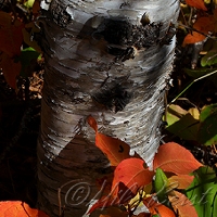  Keweenaw Peninsula 