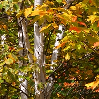  Keweenaw Peninsula 