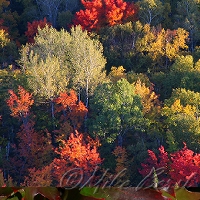  Keweenaw Peninsula 