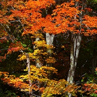 Keweenaw Peninsula 
