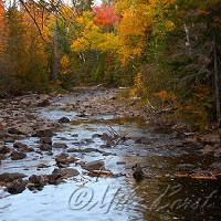  Silver Creek 