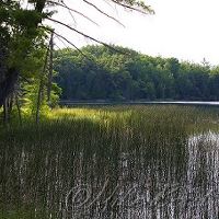  Otter Lake 
