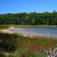  Kehl Lake 