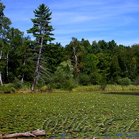  Gerry Lake 