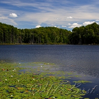  Gerry Lake 