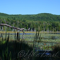  Tucker Lake 