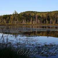  Tucker Lake 