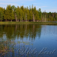  Bass Lake 