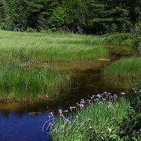  Crystal River  
