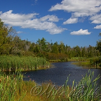  Victoria Creek  